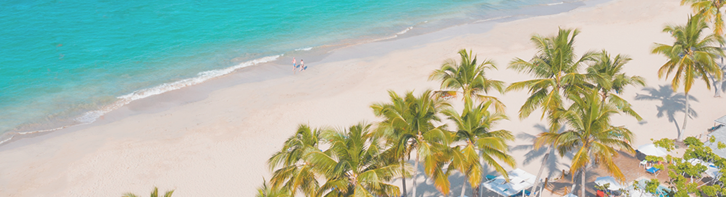 Woman Sharing Her Presentation with her Colleagues